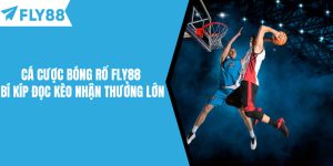 Cá Cược Bóng Rổ
