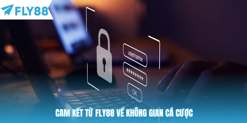 Cam kết từ Fly88 về không gian cá cược